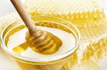 Мед и его полезные свойства для здоровья человека