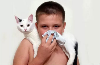 Аллергические реакции на котов