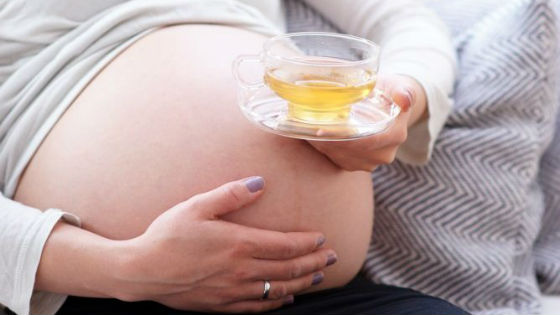 Имбирный чай при беременности можно пить при отсутствии противопоказаний