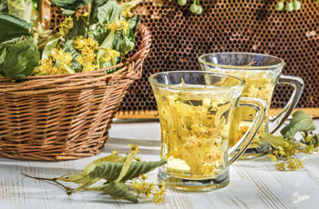 Полезные и лечебные свойства липового чая
