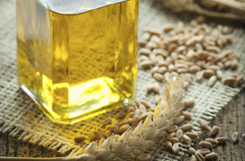 Масло зародышей пшеницы, полезные свойства, применение в лечении и косметологии, 20 рецептов масок