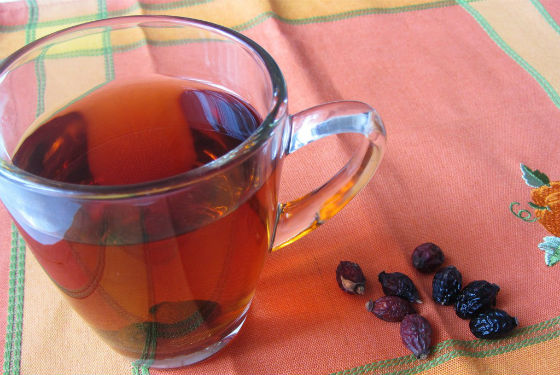 Чай из ягод шиповника для чистки организма