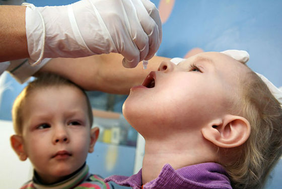 Профилактика полиомиелита живой вакциной