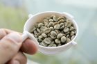 Зеленый кофе для похудения, эффективность, как употреблять