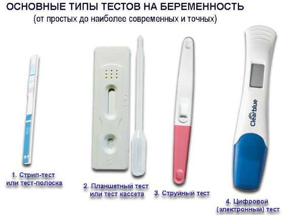 Типы домашних тестовых устройств для определения беременности