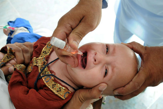 Использование живой вакцины от полиовируса