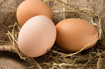 Полезные свойства куриных яиц